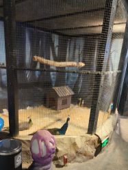 -酷嗒动物文化乐园(cutezoo西溪乐天城店)