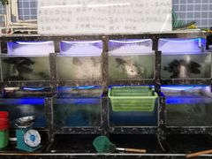 -众味海鲜大排档·活海鲜·潮汕味(南澳店)