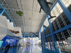 -泉城欧乐堡海洋极地世界