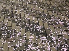 -苏州河梦清园环保主题公园