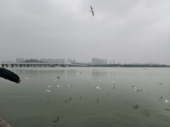 -蠡湖大桥公园