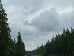 -黄海国家森林公园