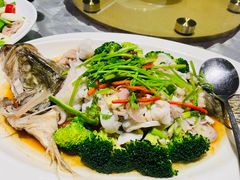 -大树头森林餐厅(番禺广场店)