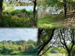 -广东花都湖国家湿地公园