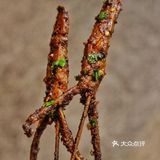 还好赶在老板转让之前又吃了一顿，以后吃不到挺可惜的！