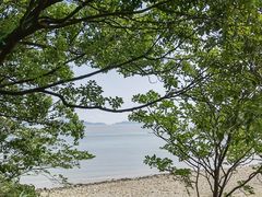 -花岙岛