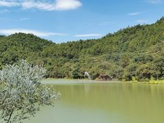 -广州白江湖森林公园