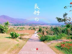 -黄色小屋