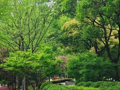 -苏州河梦清园环保主题公园