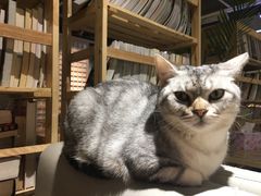 -小时光咖啡馆(开森度假森林店)