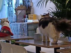 -小时光咖啡馆(北锣鼓巷店)