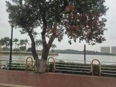 -仙湖旅游度假区