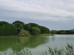 -苏州太湖国家湿地公园