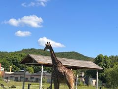 -哈尔滨北方森林动物园