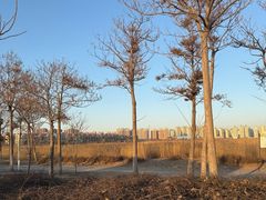 -AEON超市(永旺梦乐城泰达店)