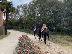 -太阳岛度假酒店