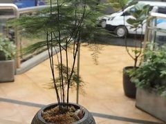 -左悦·艾灸调理·推拿按摩·精油SPA(卓悦汇店)