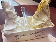 -野人先生Gelato(上海长宁龙之梦店)