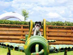 -太阳岛度假酒店