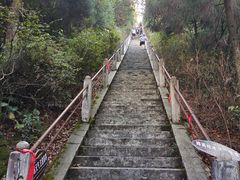 -江西阳明山国家森林公园