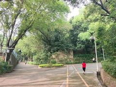 -中山公园(石岐街道)