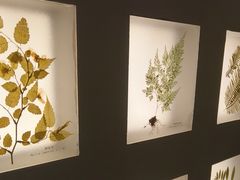 -予厘·推拿按摩·精油SPA(憩舍长安店)