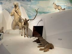-重庆自然博物馆(新馆)