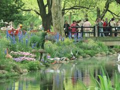 -上海共青森林公园