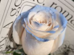 -FEI FEI FLOWER鲜花店·气球派对·宝宝宴布置(虹口德必运动Loft店)