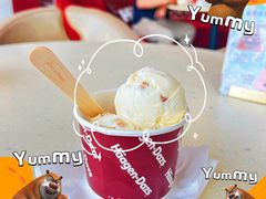 -哈根达斯(芳圆里店)