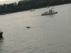 景点-什刹海-后海