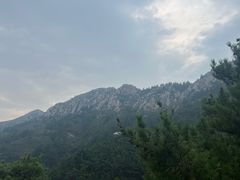 -金龙寺国家森林公园