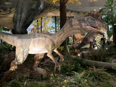 -湖南省地质博物馆