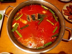 -新凯里酸汤鱼(飞山街店)