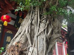 -叩齿古寺