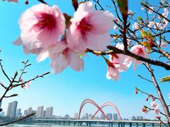-艾溪湖湿地公园