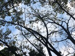 -西南政法大学(渝北校区)
