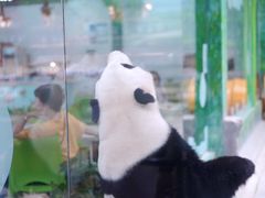 -灵玲国际马戏城