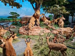 -国家自然博物馆