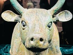 -宁夏博物馆
