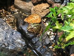 -合肥海洋世界