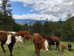 -硗碛藏寨·神木垒景区
