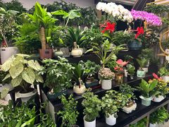 -怡花宜木鲜花店(朝阳路店)