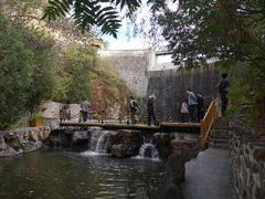 -仙居谷风景区