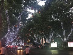 -柳湖小筑青年旅舍