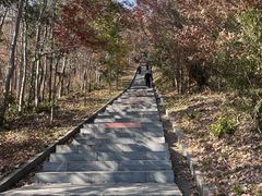 -冶父山国家森林公园