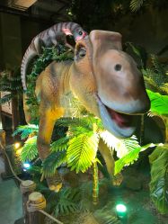 -恐龙探索乐园(磁器口店)