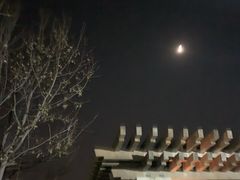 -宁波九龙湖开元度假村