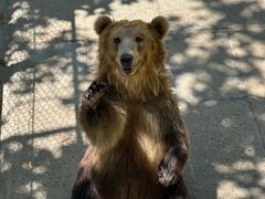 -西霞口神雕山野生动物世界