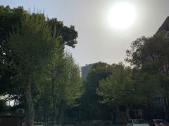 -四川大学(望江校区)